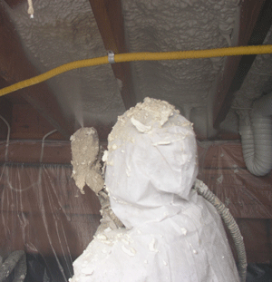 Las Vegas NV crawl space insulation